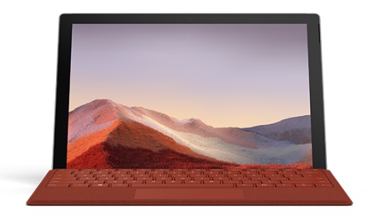 岳口镇清洁和维护 Surface